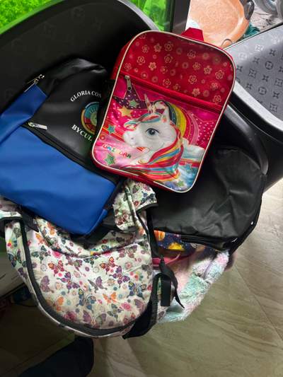 Fun Backpacks & Bag Collection for Kids!